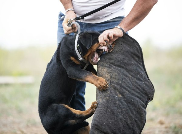 Pochette sécurisée pour professionnels : optez pour la sécurité totale